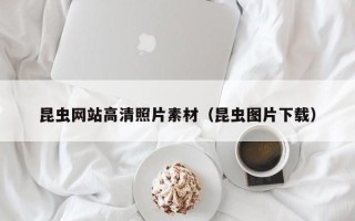 渠县昆虫网站高清照片素材（昆虫图片下载）